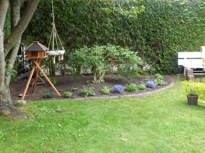 Garten_hinten